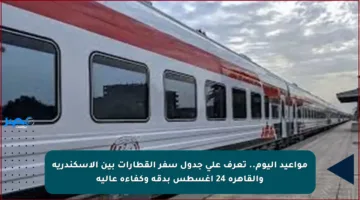 مواعيد اليوم.. تعرف على جدول سفر القطارات بين الإسكندرية والقاهرة 24 أغسطس بدقة وكفاءة عالية